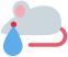 crymouse emote for Discord