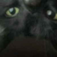 Black_cat_look emote for Discord