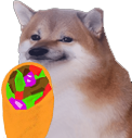 CheemsShawarma emote for Discord