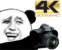 panda_caught4k emote for Discord
