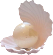 shell_pearl emote for Discord