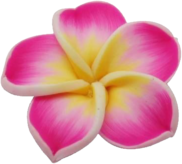 tropic_flower1 emote for Discord