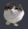 Bouncy_cat emote for Discord
