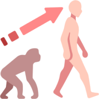 Evolution emote for Discord