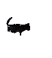 Cat_Explosion_LOL emote for Discord