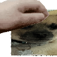 boonat emote for Discord