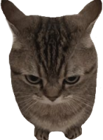 killer_cat emote for Discord