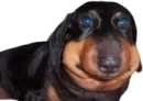 Erm emote for Discord