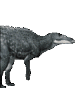 stompShan emote for Discord