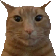 staring_ginger_cat emote for Discord