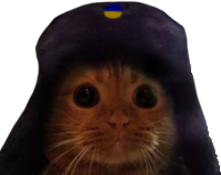 ushanka_cat emote for Discord