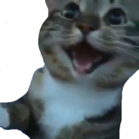 happy_cat emote for Discord