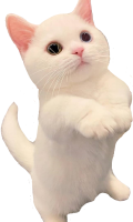 ethan_plead emote for Discord