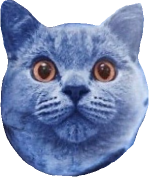 catberry emote for Discord