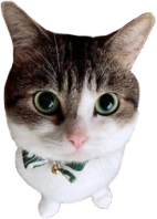bowtie_fan_2 emote for Discord