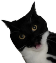 maxwellgasp emote for Discord