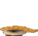 fishcatgif emote for Discord