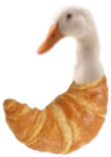 quacksant emote for Discord