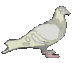 PigeonBadge emote for Discord