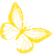 y_butterfly emote for Discord