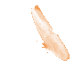 o_butterfly emote for Discord