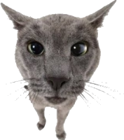 vio emote for Discord