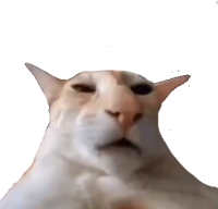 shaun emote for Discord