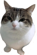spring emote for Discord