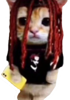emo_cat emote for Discord