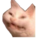 CatCreep emote for Discord
