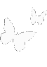 white_butterflies emote for Discord
