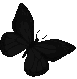black_butterfly_2 emote for Discord
