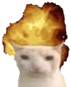 CatBoom emote for Discord