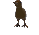 KiwiSpin emote for Discord