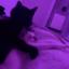 CatCuddle emote for Discord