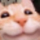happy_cat emote for Discord