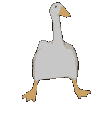 DancingDuck emote for Discord