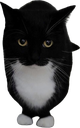 maxwellstand emote for Discord