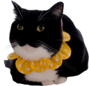maxwellloaf emote for Discord