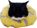 maxwellsleepy emote for Discord