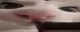Mlem emote for Discord