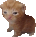 Robert emote for Discord