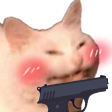 cattogun emote for Discord