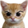 cat_sus emote for Discord
