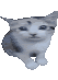 Lalacat emote for Discord