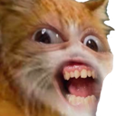 CatRicky emote for Discord