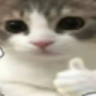 catThumbsup emote for Discord