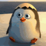 PenguHii emote for Discord