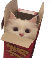 mckitty emote for Discord