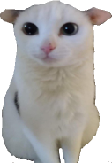 isaac emote for Discord